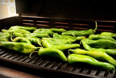 roasted hatch chiles
